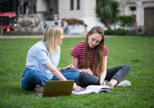 online study